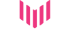Paladin